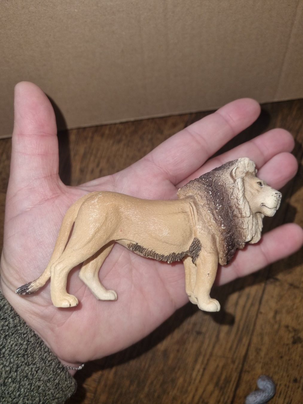 Schleich Spielzeuge: Lion schleich – Gebraucht aus Fribourg von  4