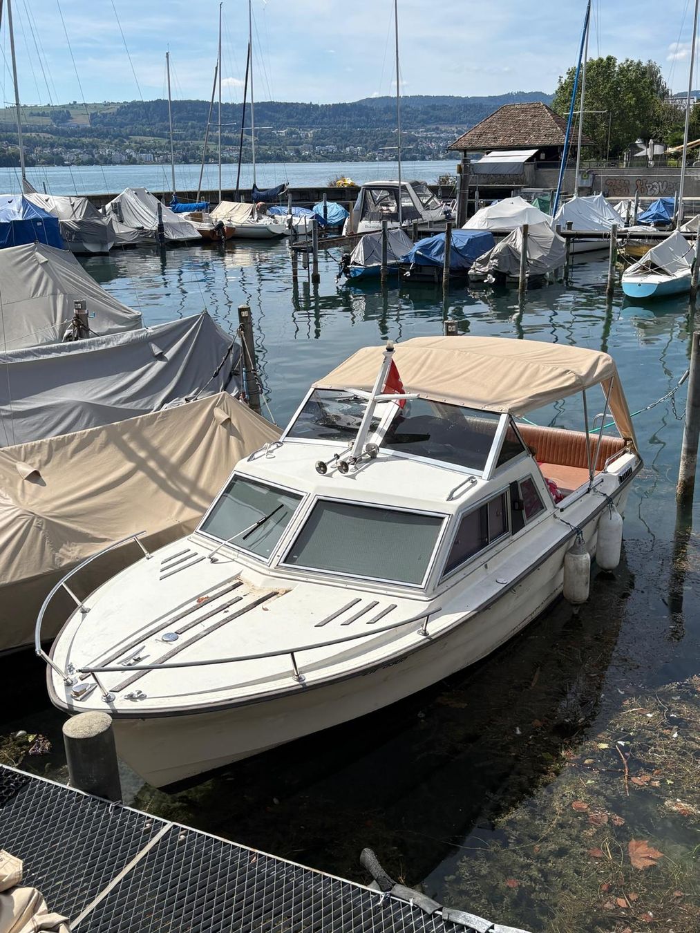 Boote: saphir 650 cabon – Gebraucht aus Hinwil von hinwi