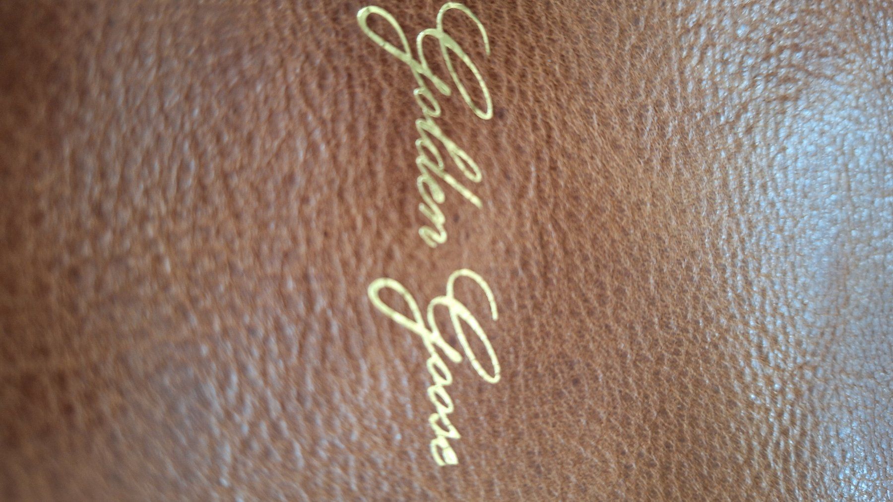 Golden Goose Taschen für Damen: Ledertasche Golden Goose – Gebraucht aus Muri b. Bern von houss65 2