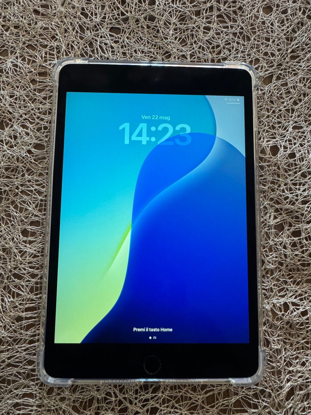Apple Tablet PC: iPad mini 5 256gb+sim – Usato da Visp venduto da leo_ng7b