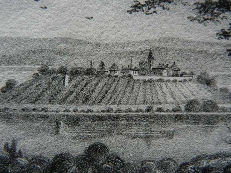 Incisioni: Insel Mainau Bodensee selten – Usato da Risch venduto da Rischli15 9