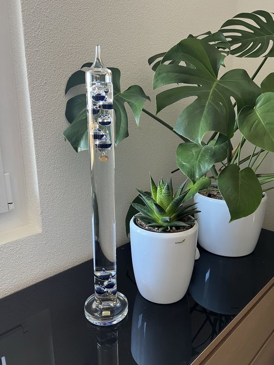Galileo Thermometer 62cm mit 11 Kugeln blau Kaufen auf Ricardo