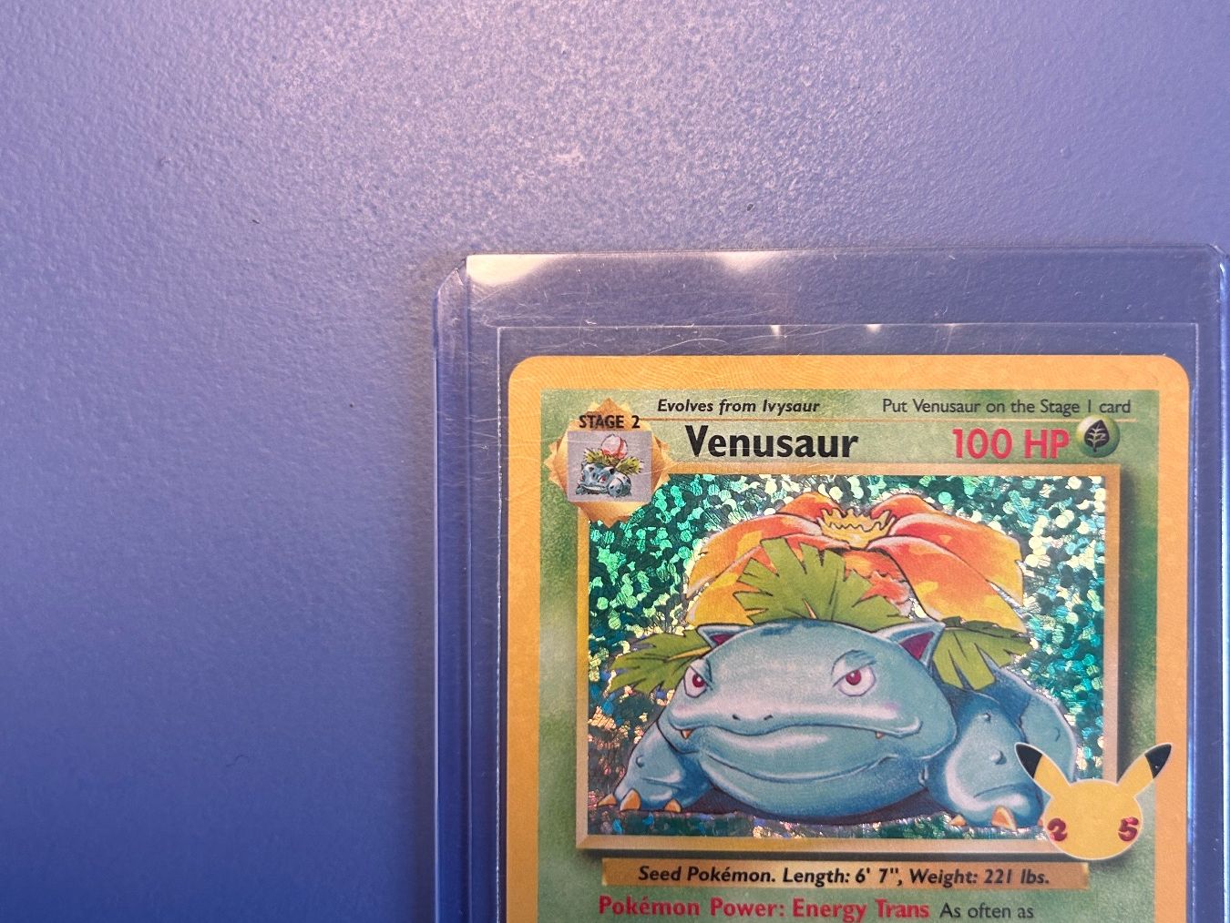 Pokémon Carte collezionabili: Venusaur Holo Celebration 25 Years – Usato da Schlieren venduto da happymerchant64 3
