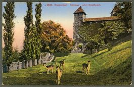 AK col Farblitho Rapperswil SG Schloss Hirschpark ≈ 1919 