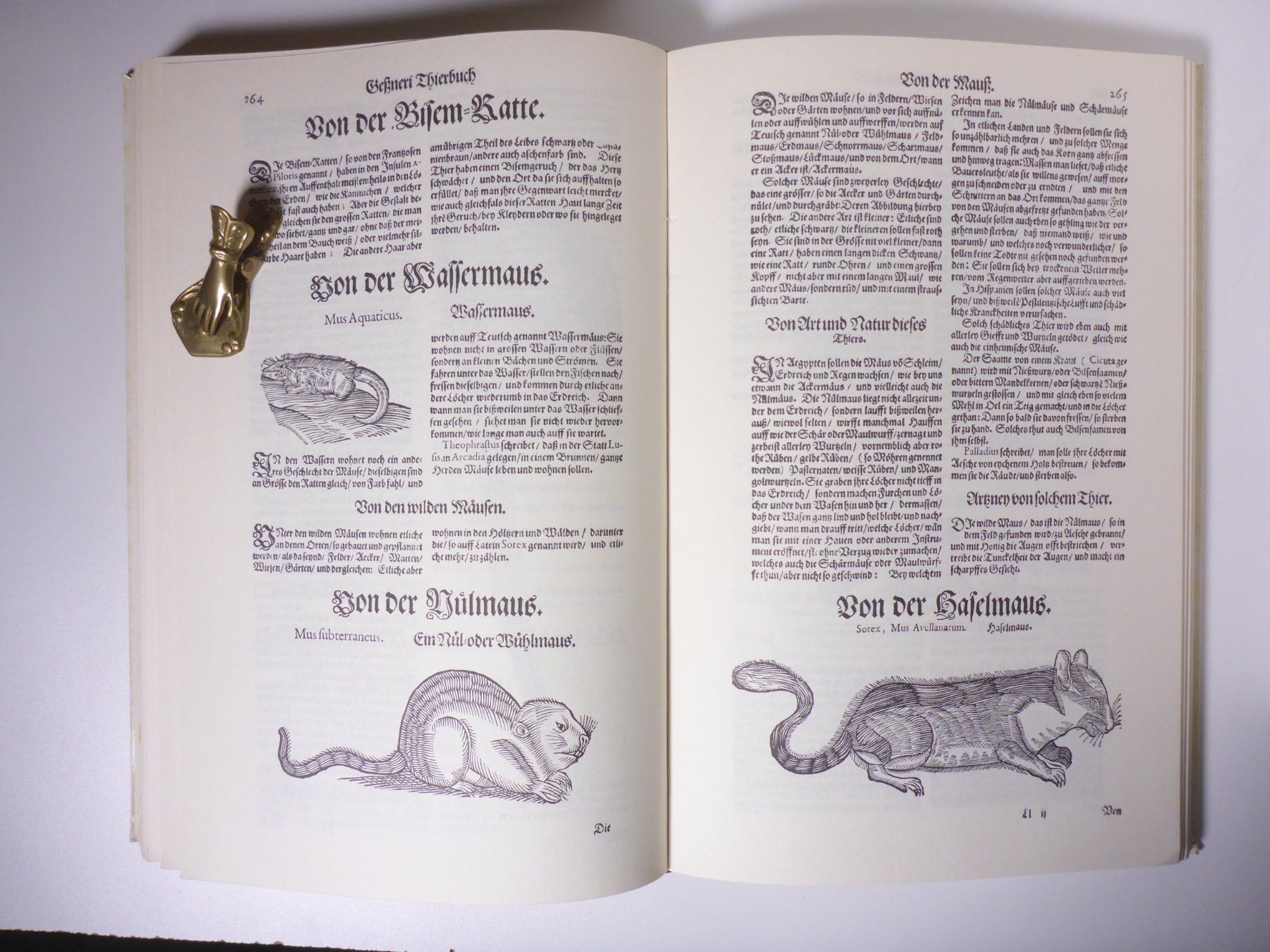 Bücher: Conrad Gesner: Thierbuch – Gebraucht aus Erschwil von taglang 7