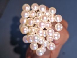 Lot de perles Akoya 7mm qualité AA & AAA