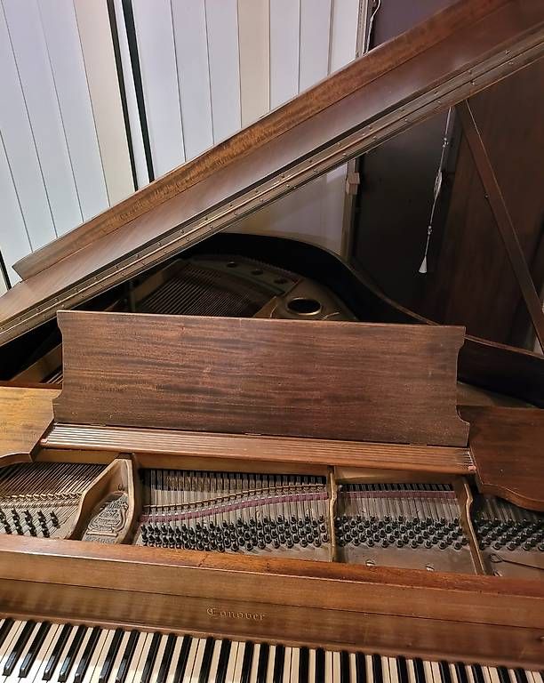 Strumenti musicali: Conover Baby Grand Piano – Usato da Zug venduto da Sabina0 4
