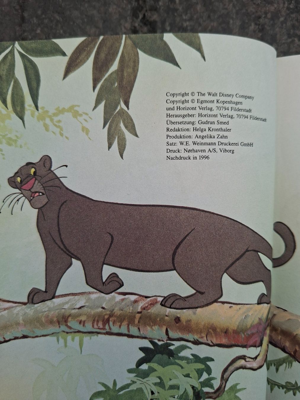 Libri: Walt Disney; Buch "Das Dschungelbuch" – Usato da Boniswil venduto da Totomat-Lady2 2