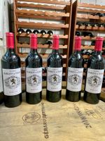 19X Bordeaux Rotwein - 4 verschiedene Weine