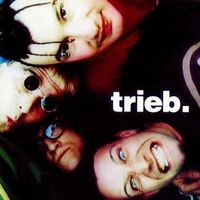 Trieb. ‎– Groove Nation