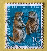 Nr.J 211 GESTEMPELT Alpenmurmeltier 1965 Bern
