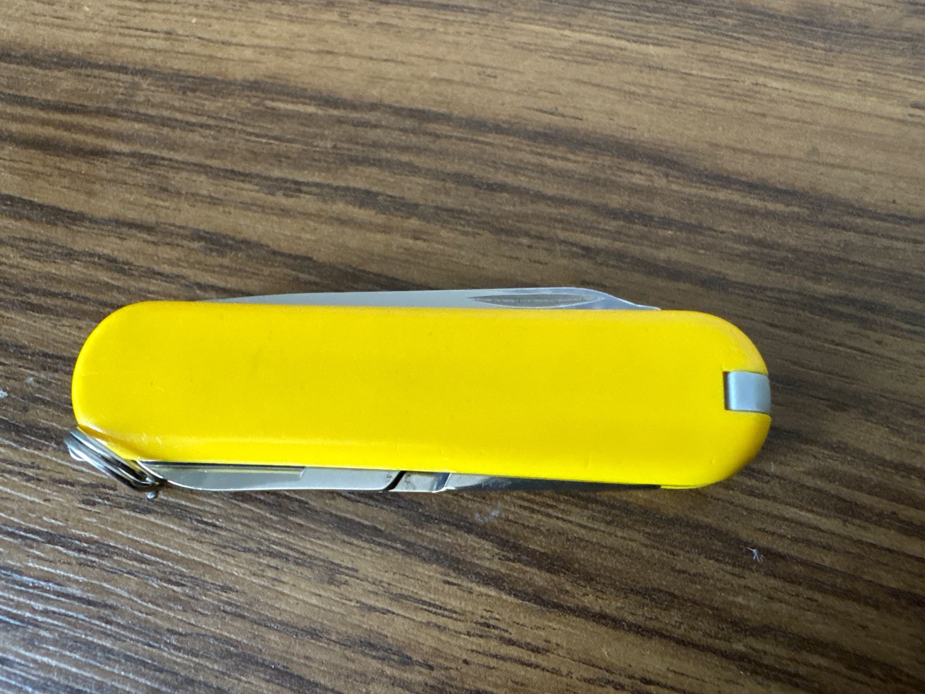 Victorinox Coltelli tascabile: VICTORINOX - Classic yellow - Sackmesser – Usato da Andwil SG venduto da Rainboli 9