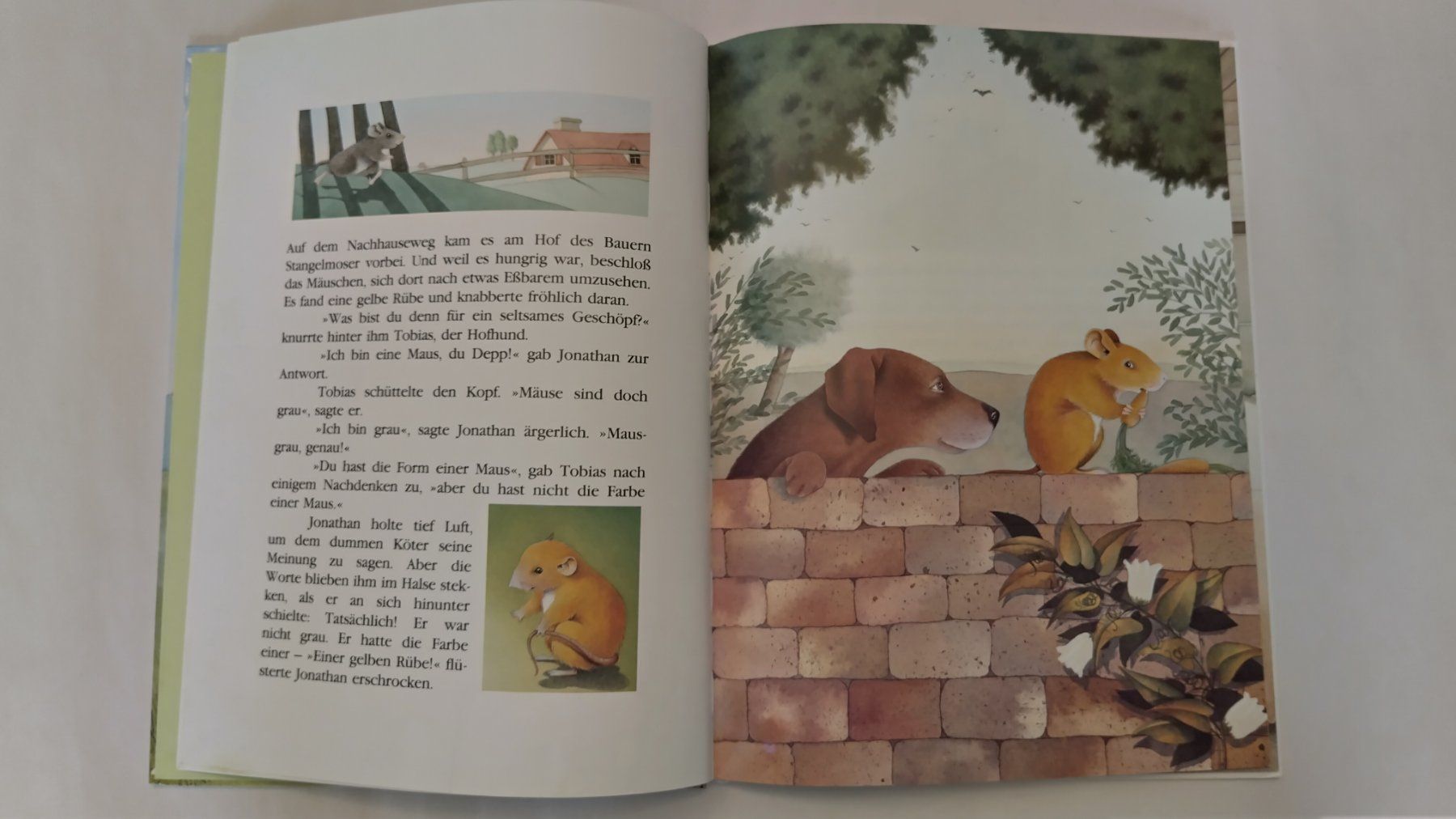 Libri: Maus Jonathan - Die freche Maus / Bilderbuch ab Fr. 8.- – Usato da Bellach venduto da JingleJerry 4