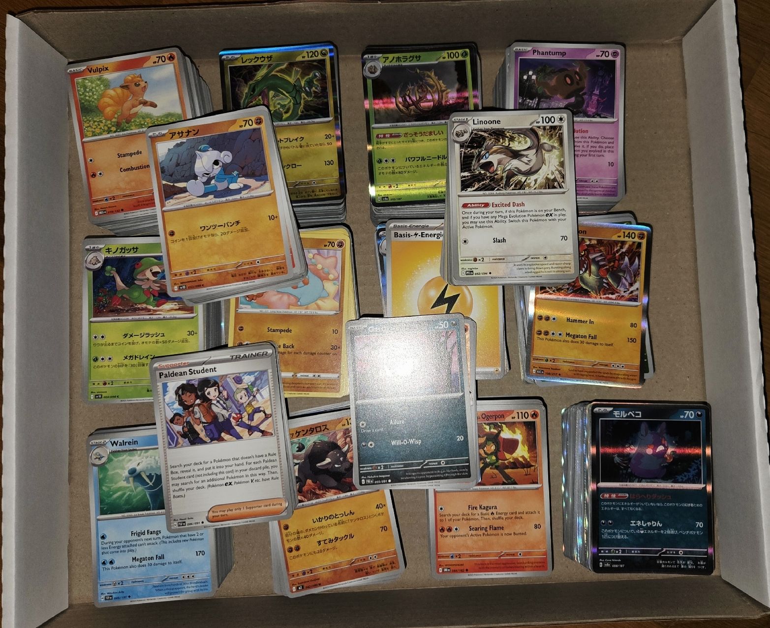 Pokémon Carte collezionabili: Pokemon Bulk – Nuovo (secondo la descrizione) da Stachen venduto da Gon_Soku 1