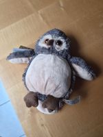 Eule aus Zooshop