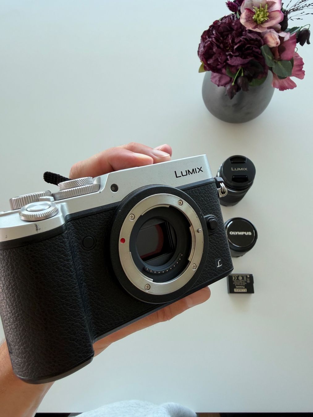 Panasonic Fotocamera: Panasonic Lumix GX8 – Usato da Berlingen venduto da cr7yann 2