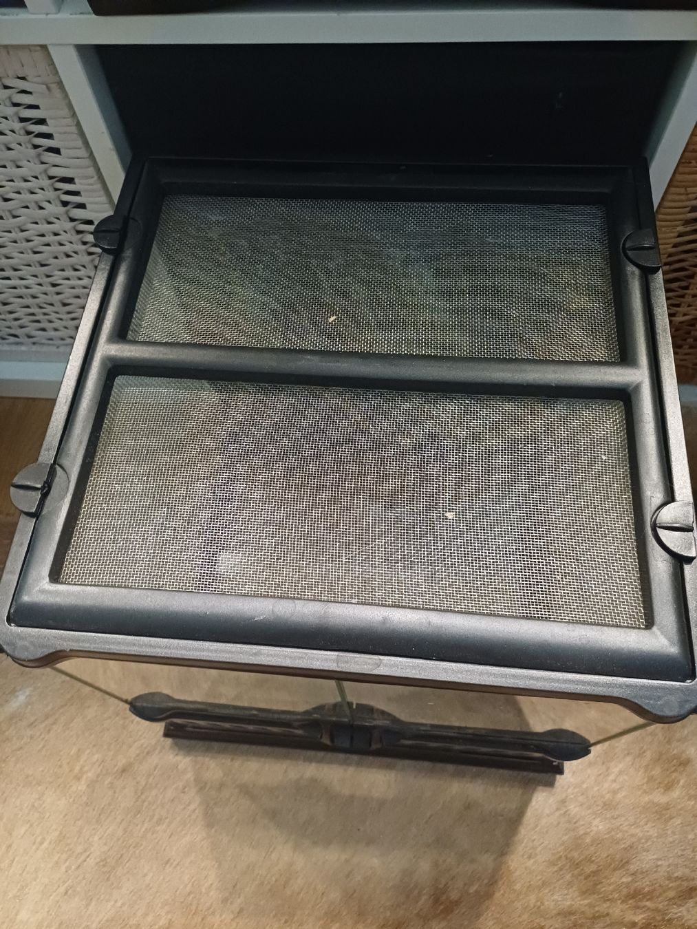 Terrario: exo Terra Terrarium 30x30x30 – Usato da Thalwil venduto da Skorp96 2