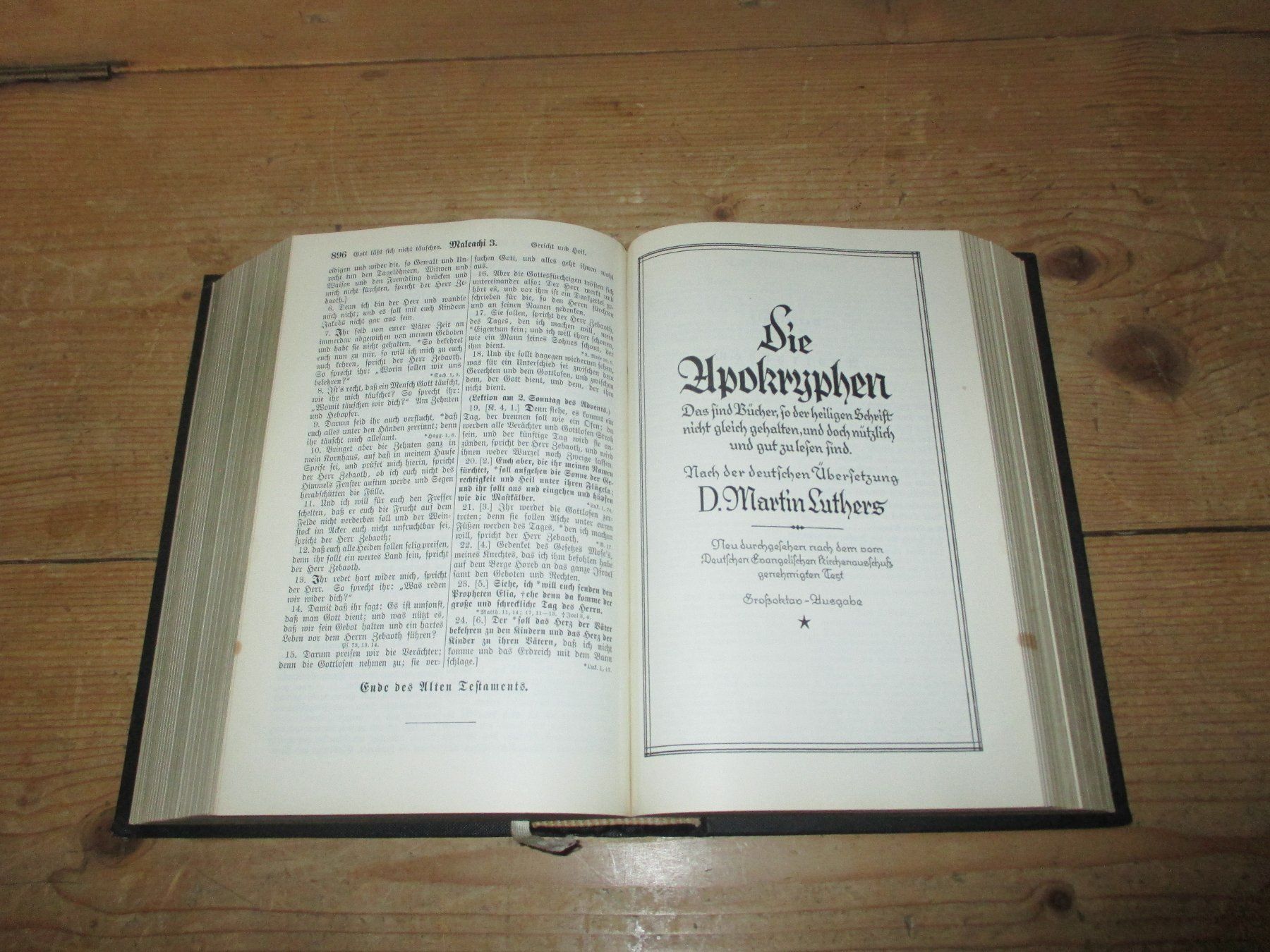 Bücher: Bibel 1925, Illustriert, mit den Apokryphen – Gebraucht aus Flims - Dorf von Stagediver 4