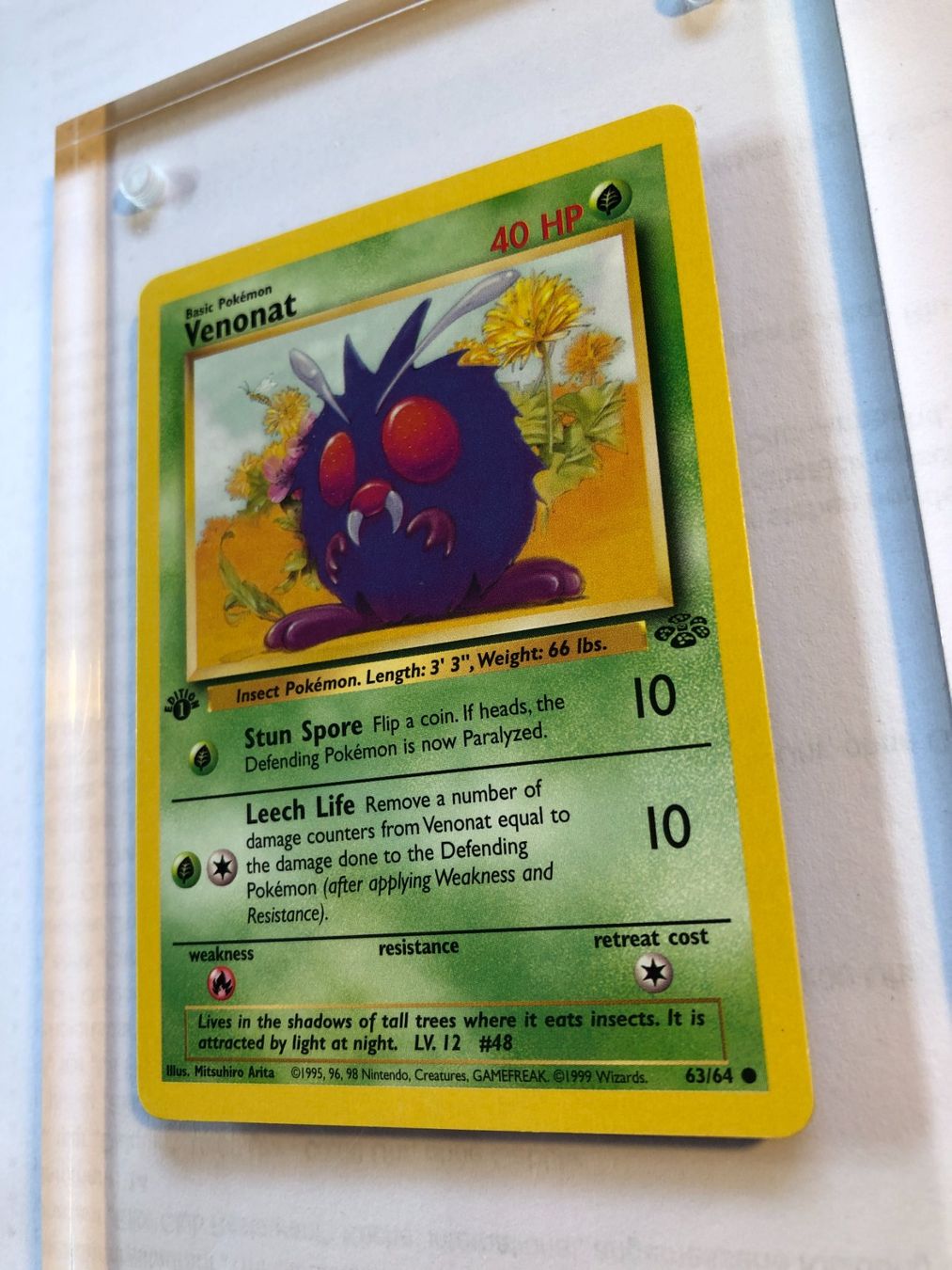 Cartes à collectionner: Venonat 1st Jungle - NM - ab 1.- – D'occasion à Giubiasco par dan_pr8b 2
