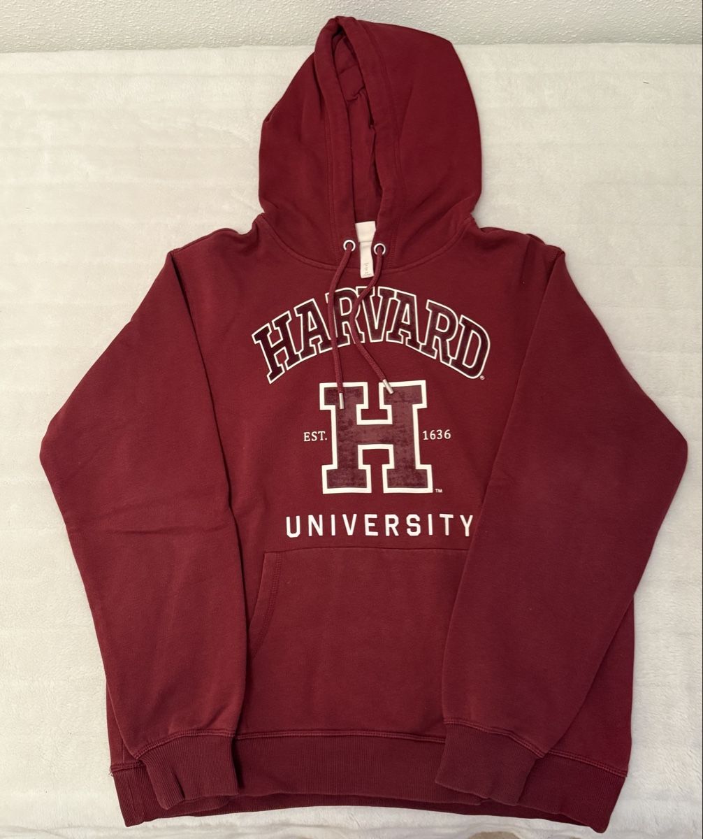 H&M Maglioni & Felpe: Hoodie Harvard, Grösse M – Usato da Haldenstein venduto da ana_b8c7 1