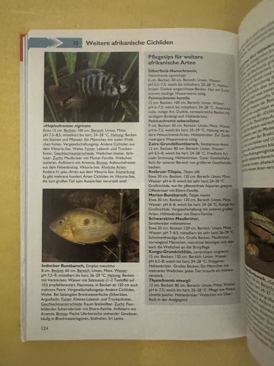 Libri: GU Ratgeber Wasserwelt Aquarium – Usato da Busswil venduto da billib 2
