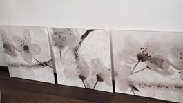 IKEA PJÄTTERYD Wandbilder Set, 3-teilig, Top Zustand!