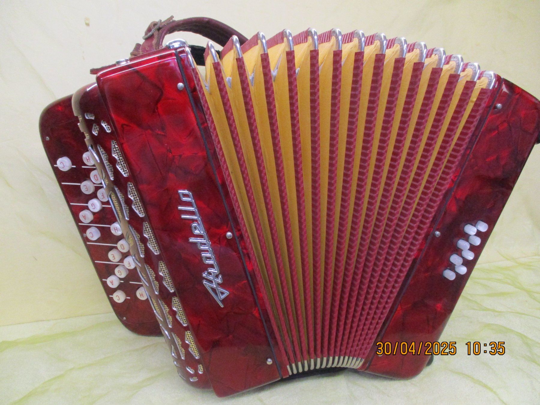 Strumenti musicali: Akkordeon Mini Stradella – Usato da Jegenstorf venduto da Oktavio 2