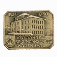 Abzeichen 100 Jahre Sekundarschule Wädenswil ZH Pin