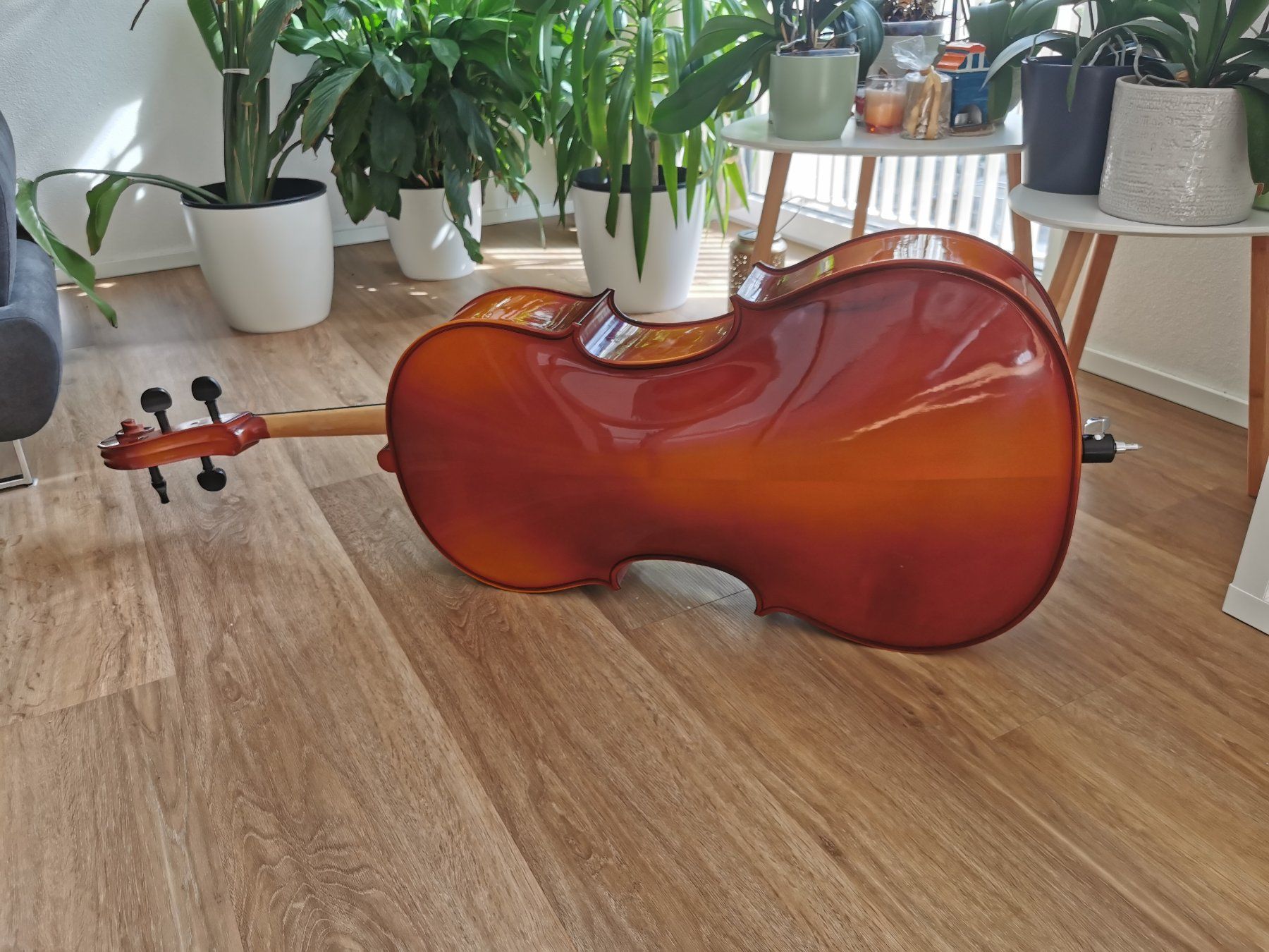 Strumenti musicali: Cello 4/4 – Usato da Root venduto da kac_tzs7 1