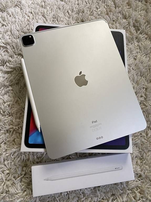 Tablet PC: iPad Pro 4. Gen 256GB inkl. Pencil – Usato da Zürich venduto da ben_5wbn 2