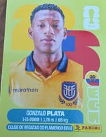 Panini Sticker Gonzalo Plata 2000 Guter Zustand