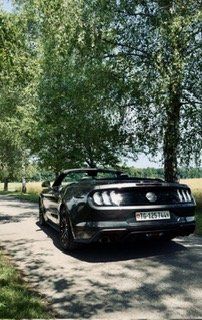 Ford Automobili: Ford Mustang GT Convertible 5.0 V8 – Usato da Birsfelden venduto da edw_2mjn 1