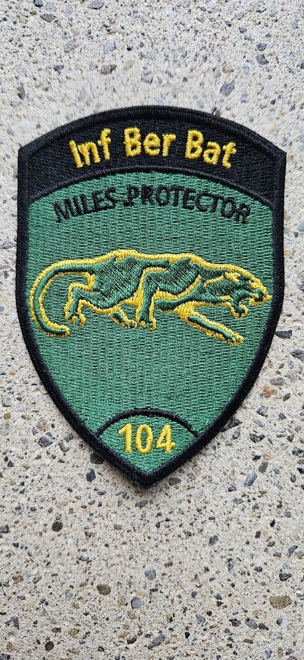 Schweizer Armee Placchette & Badge: *** Badge ohne Klett *** – Usato da Riedholz venduto da fr_sIruP