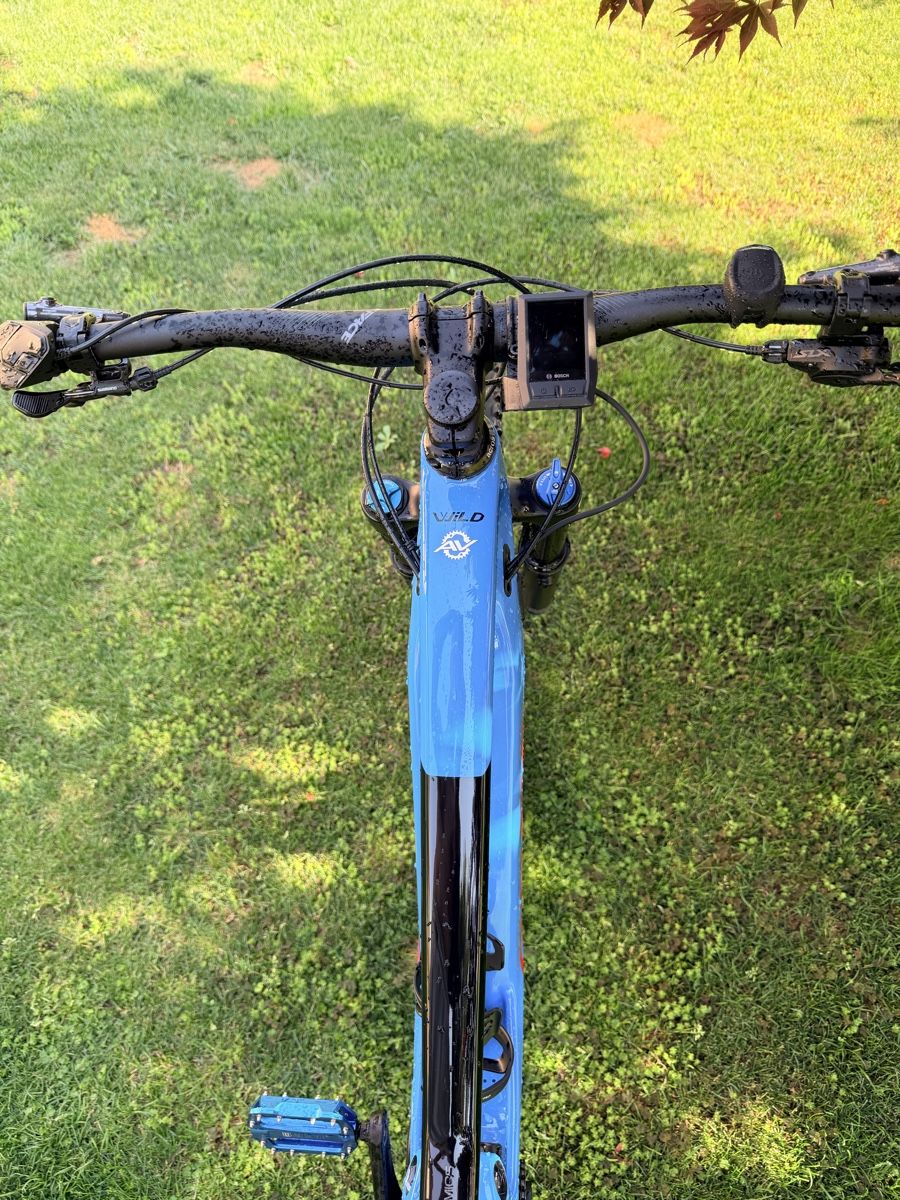 Orbea Velos: Orbea – Gebraucht aus Vezia von psoldo 5