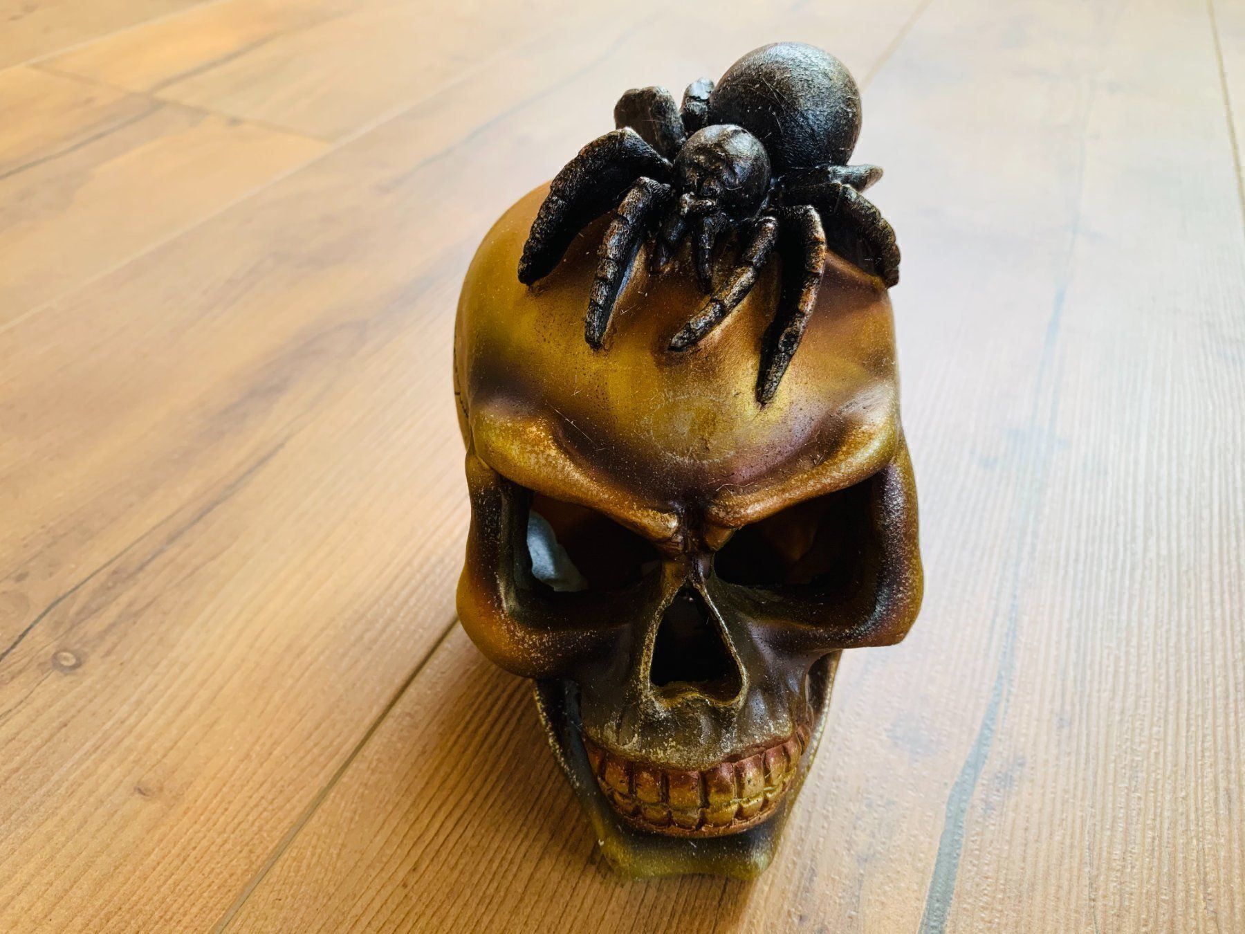 Sculture & Statue: Totenschädel Schädel SKULL Spider 14cm NEU – Nuovo e nell'imballaggio originale da Bergdietikon venduto da shopAgent 2