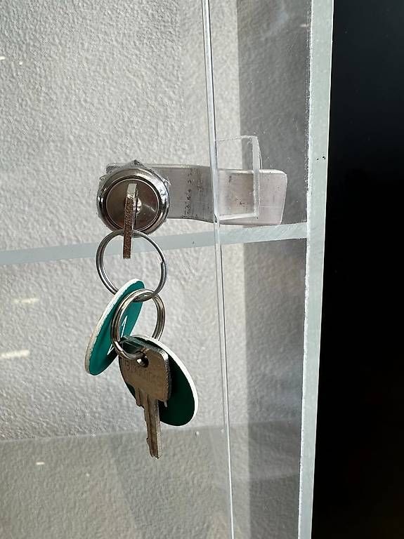 Vetrine: Mobile Vitrine mit Acrylglas und Schloss auf Rollfuss – Usato da Obernau venduto da Arche_Noah_Brocki 7