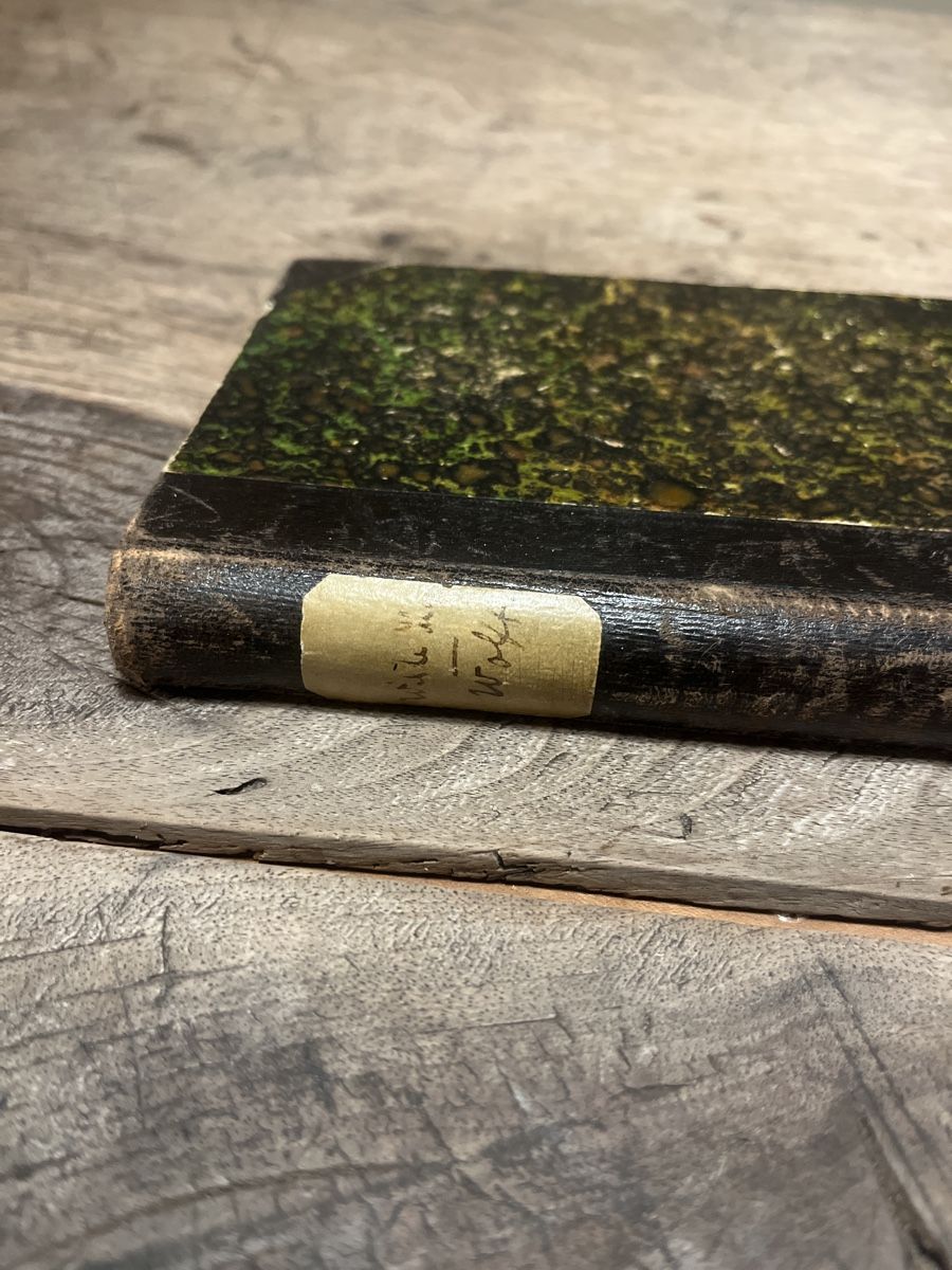 Bücher: Antikes Buch "Der wilde Jäger" von Julius Wolff, 1877 – Gebraucht aus Zuoz von Grr1974 1