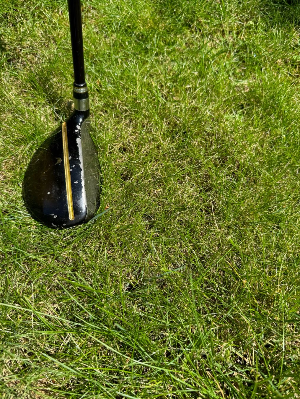 Mazze & Set: Clubs golf dame Daiwa – Usato da Genève venduto da flocon06 4