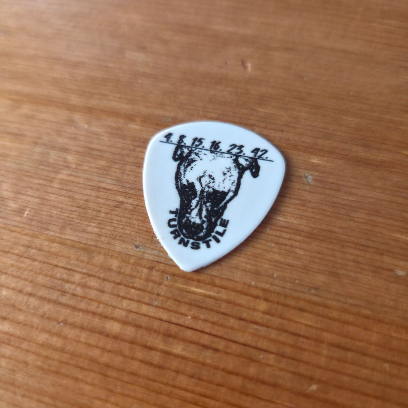 Strumenti musicali: Turnstile Lost Plektrum Pick – Usato da Zürich venduto da Wickeddude 1