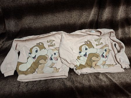 2x Gr 110/126 H&M Disney Pullover Zwillingsmädchen 