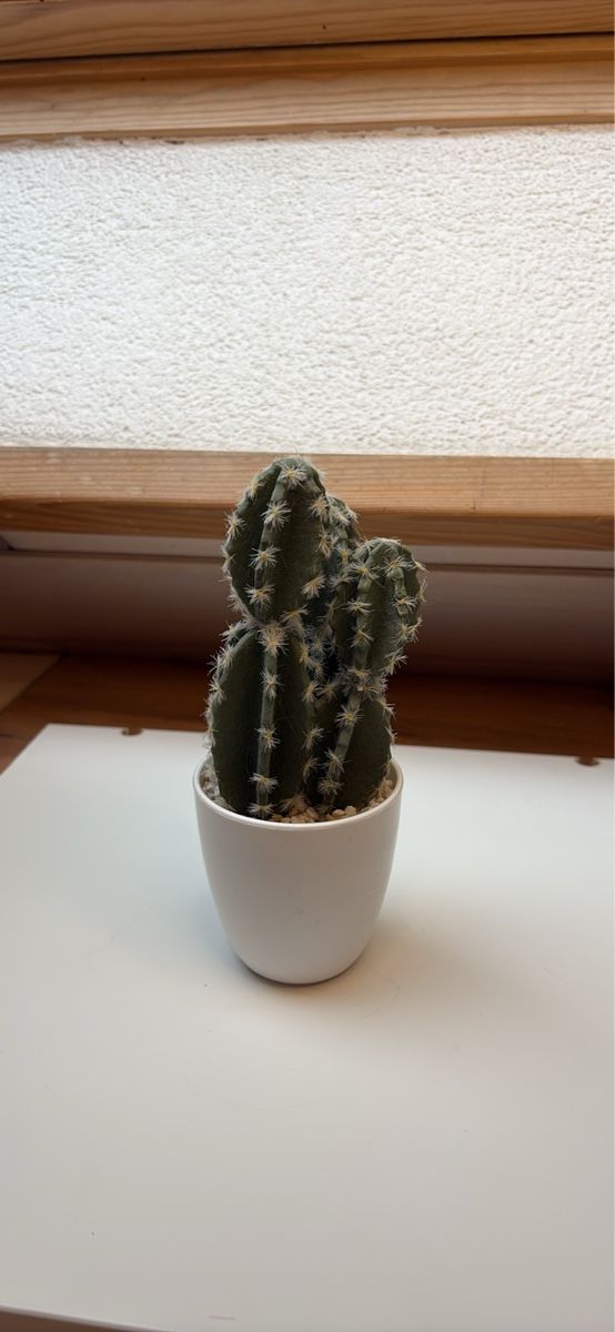 Alle Dekorationen: Lots de décorations  – Gebraucht aus Le Locle von Charlotte_122 6
