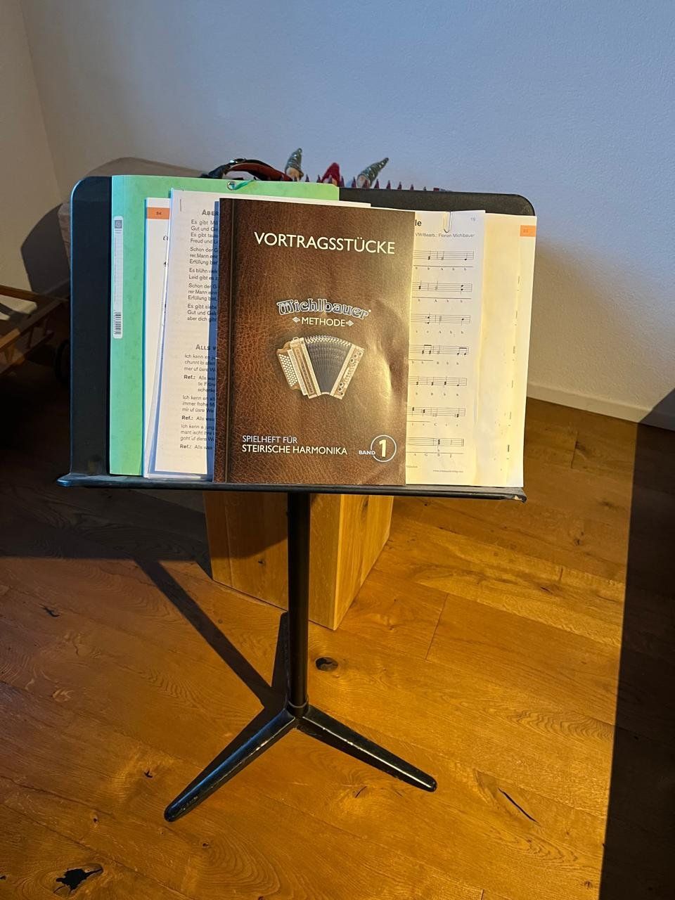 Strumenti musicali: Novak Superium Harmonika – Usato da Eschen venduto da Forsttech-Eschen 3