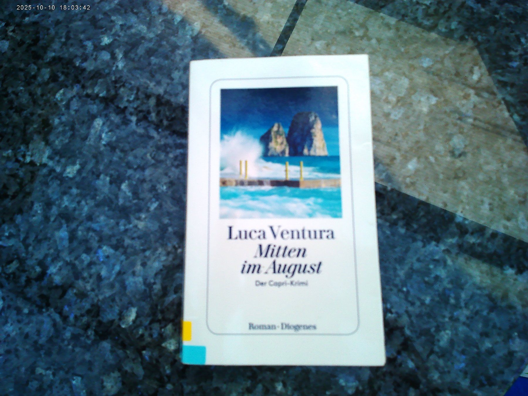 Libri: Mitten im August von Luca Ventura – Usato da reitnau venduto da Sib7