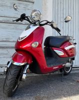 UGBest Legend Roller E-Scooter E-Roller