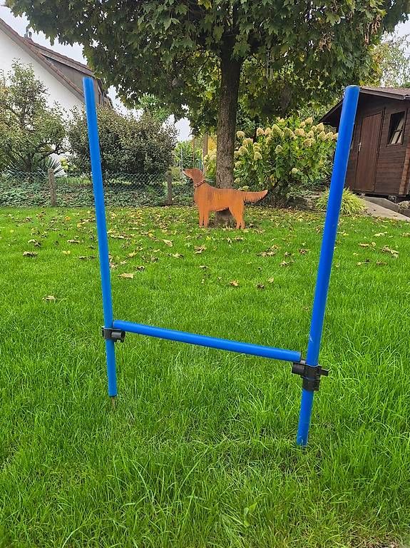 Spielzeuge: 2 Agility Sprünge – Gebraucht aus Mellingen von rwbw 1