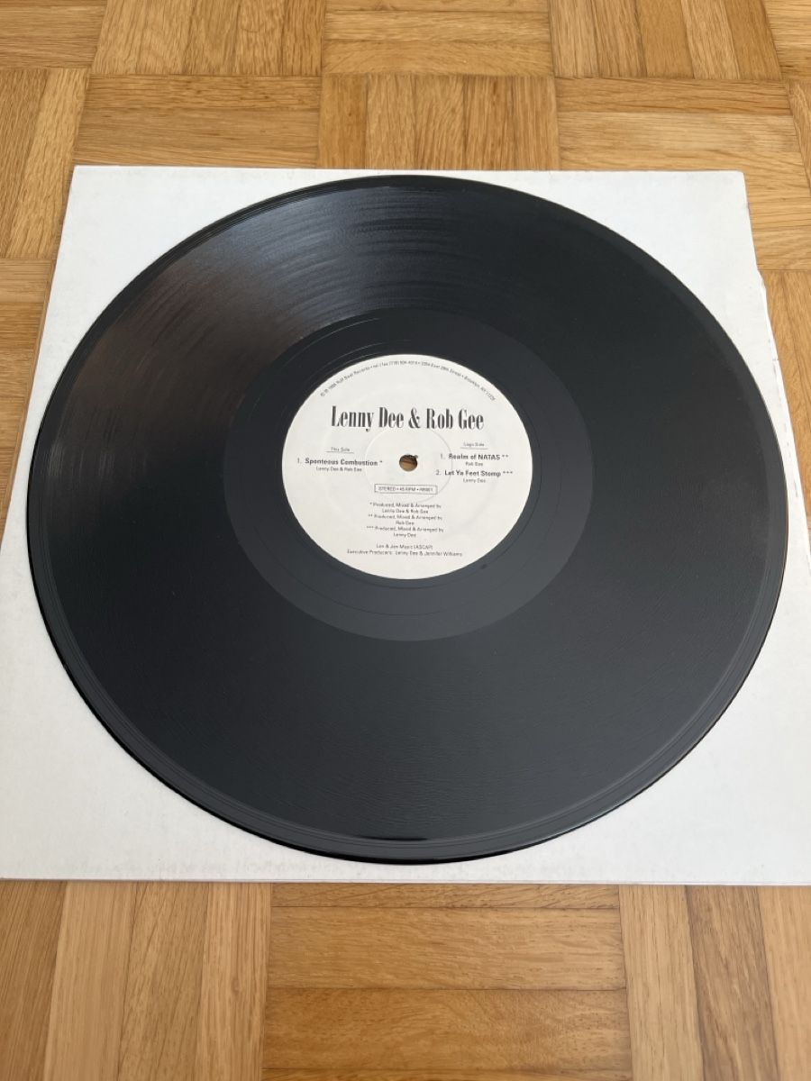 Dischi in vinile: Lenny Dee & Rob Gee Hardcore / Gabber Vinyl – Usato da Wangen b. Olten venduto da break72 2