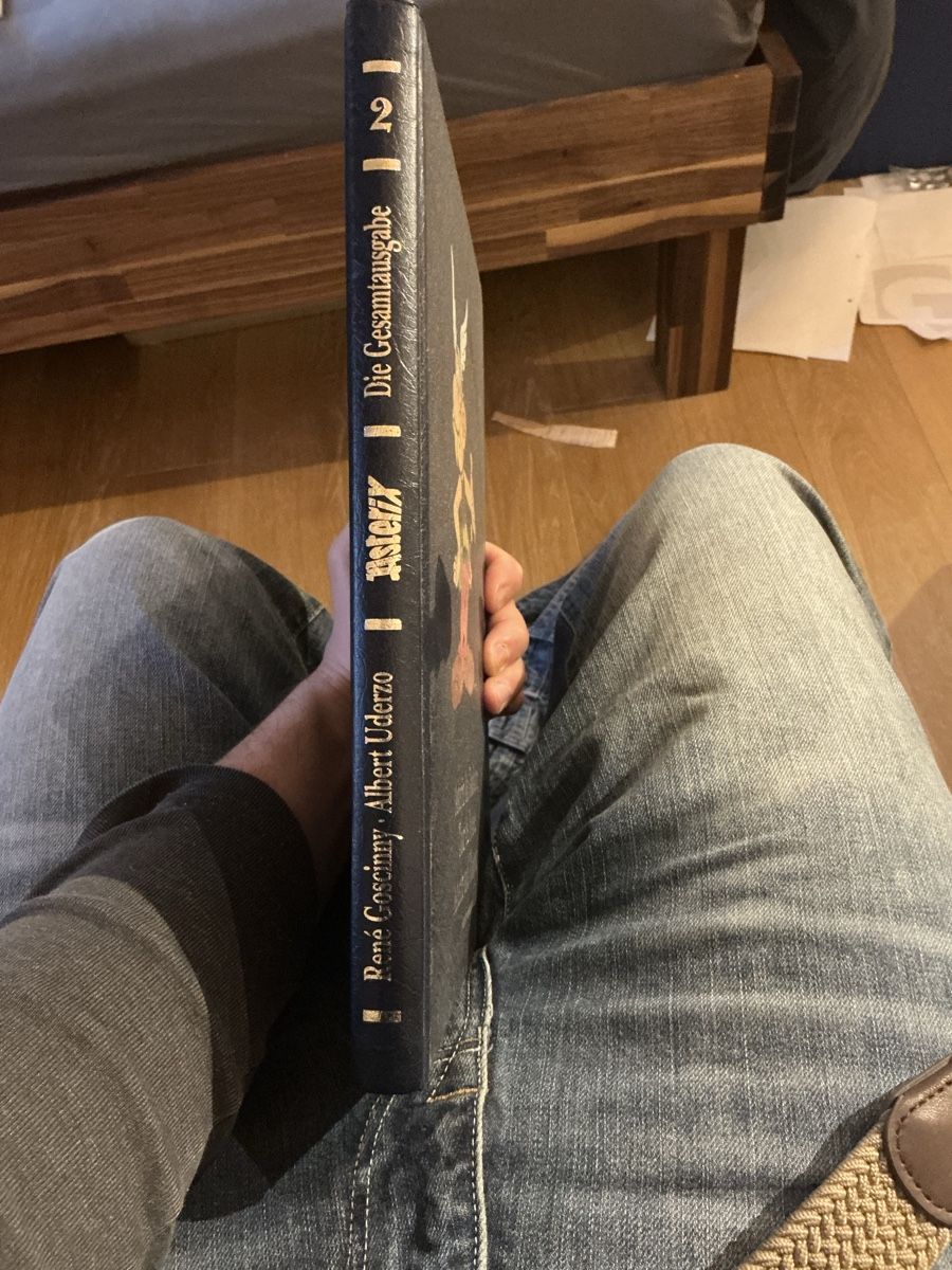 BD: Asterix Gesamtausgabe 2 – D'occasion à Theilingen par Theil.96 1
