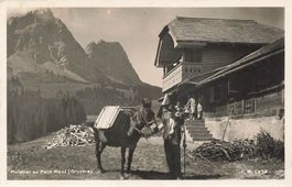 Petit Mont FR Säumer im Greyerzerland Gruyère