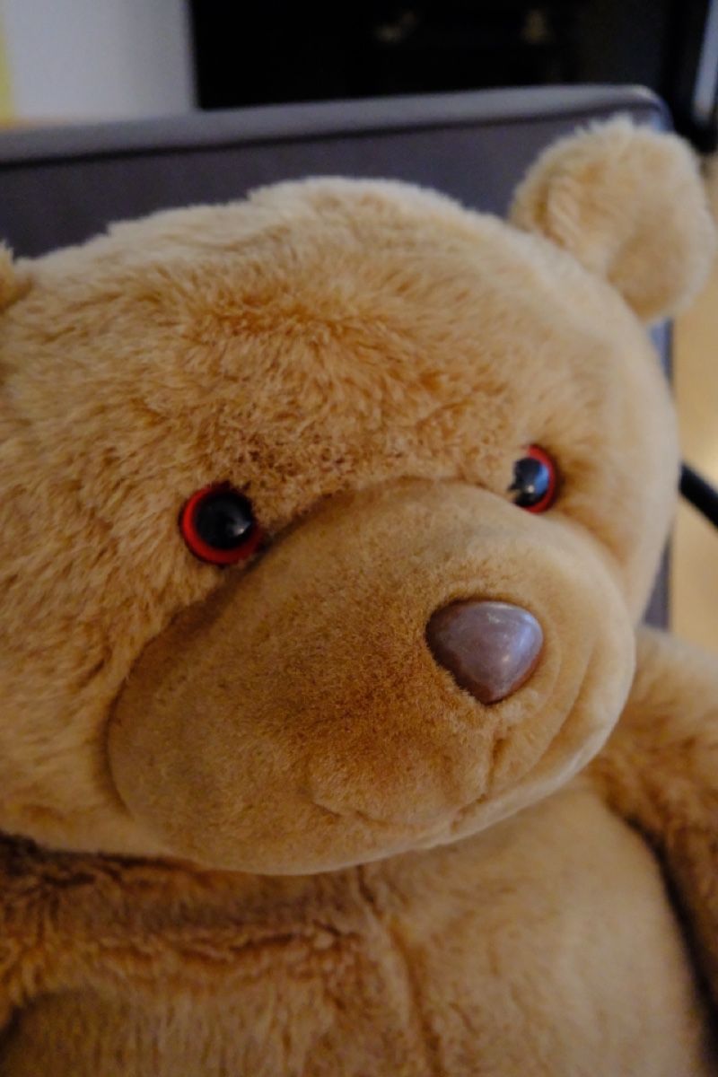 Giocattoli: Grosser Teddybär – Usato da Windisch venduto da YoungJoel 1