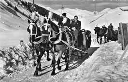 Davos GR Schlittenfahrt Pferdeschlitten